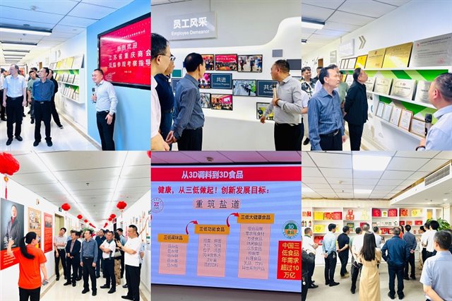 参观企业拼照